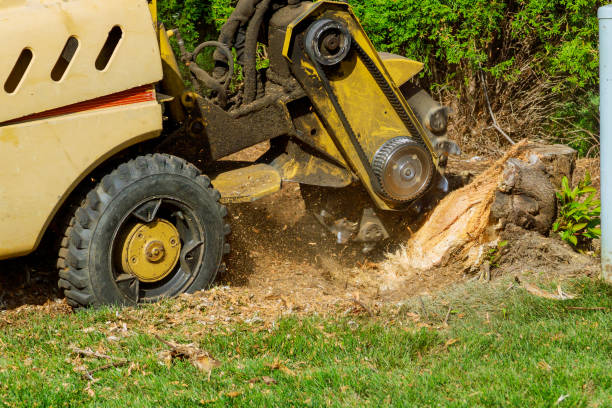Artificial Turf Installation in Bloomington, TX